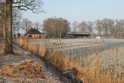 BUITEN BEELD Foto: 120689