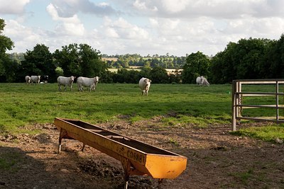 BUITEN BEELD Foto: 120696