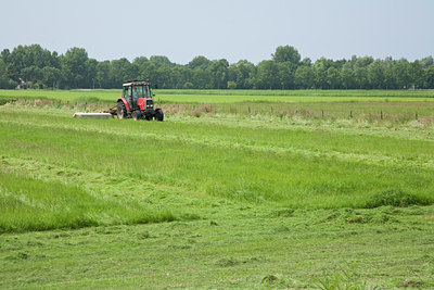 BUITEN BEELD Foto: 120734