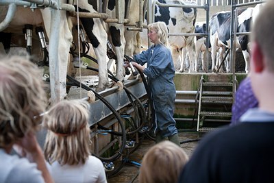BUITEN BEELD Foto: 120793