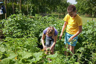 BUITEN BEELD Foto: 120812