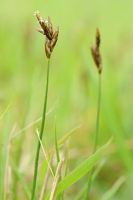 BUITEN BEELD Foto: 120825