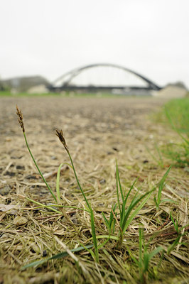 BUITEN BEELD Foto: 120827