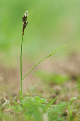 BUITEN BEELD Foto: 120828
