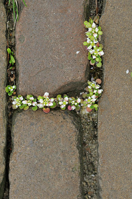 BUITEN BEELD Foto: 120839