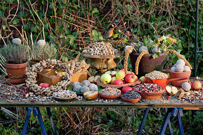 BUITEN BEELD Foto: 120847