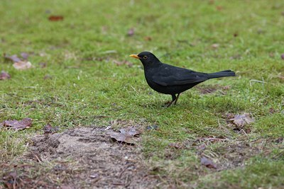 BUITEN BEELD Foto: 120850