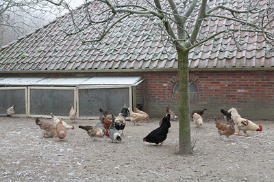 BUITEN BEELD Foto: 120854