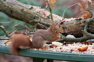 BUITEN BEELD Foto: 120860