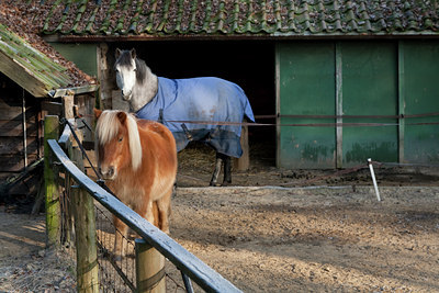 BUITEN BEELD Foto: 120870
