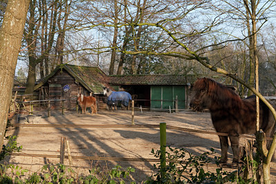 BUITEN BEELD Foto: 120871