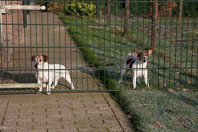 BUITEN BEELD Foto: 120874