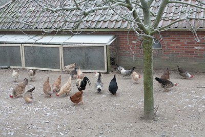 BUITEN BEELD Foto: 120878