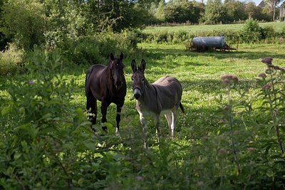 BUITEN BEELD Foto: 120882