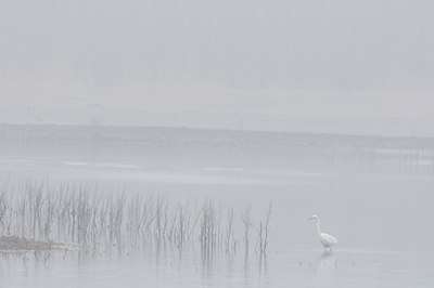 BUITEN BEELD Foto: 120903