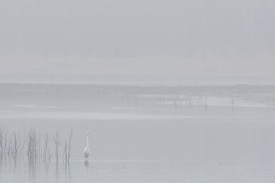 BUITEN BEELD Foto: 120904
