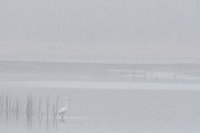 BUITEN BEELD Foto: 120905