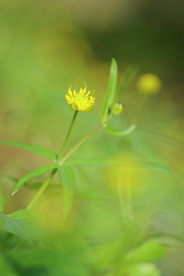 BUITEN BEELD Foto: 120939