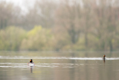 BUITEN BEELD Foto: 120940