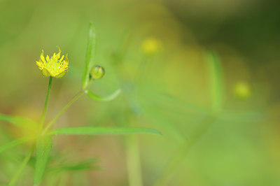 BUITEN BEELD Foto: 120941