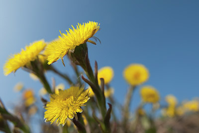 BUITEN BEELD Foto: 120973