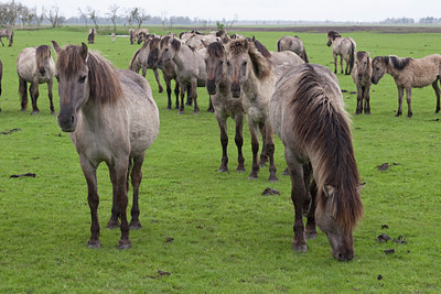 BUITEN BEELD Foto: 121032