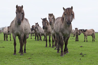 BUITEN BEELD Foto: 121033