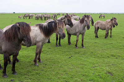 BUITEN BEELD Foto: 121034