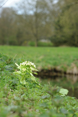 BUITEN BEELD Foto: 121076