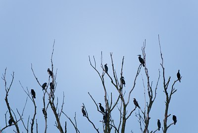 BUITEN BEELD Foto: 121093