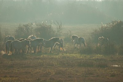 BUITEN BEELD Foto: 121106