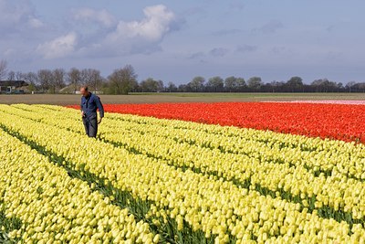 BUITEN BEELD Foto: 121141