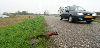 BUITEN BEELD Foto: 121159
