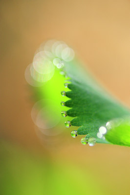 BUITEN BEELD Foto: 121214