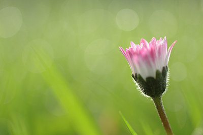 BUITEN BEELD Foto: 121245