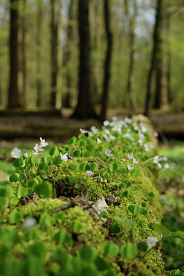BUITEN BEELD Foto: 121302