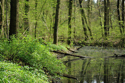 BUITEN BEELD Foto: 121304