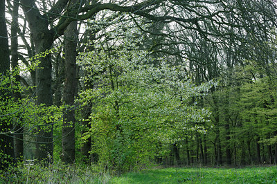 BUITEN BEELD Foto: 121332