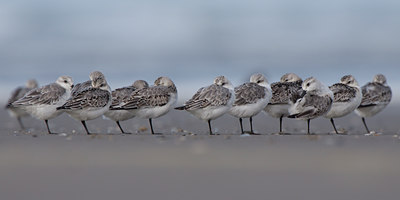 BUITEN BEELD Foto: 121376