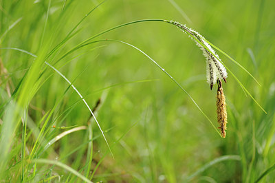BUITEN BEELD Foto: 121391