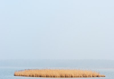 BUITEN BEELD Foto: 121472