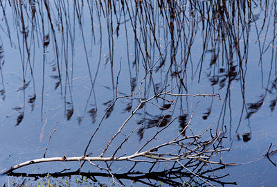 BUITEN BEELD Foto: 121474