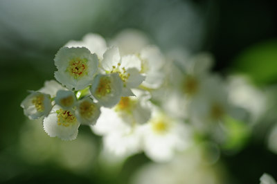 BUITEN BEELD Foto: 121500