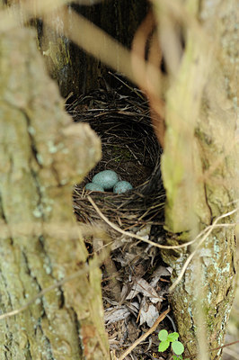 BUITEN BEELD Foto: 121504
