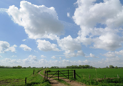 BUITEN BEELD Foto: 121510