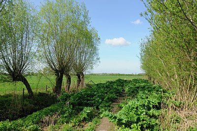 BUITEN BEELD Foto: 121522
