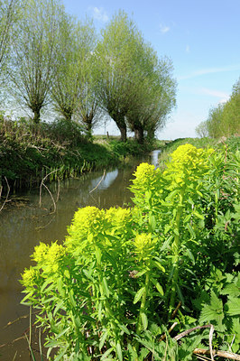 BUITEN BEELD Foto: 121524