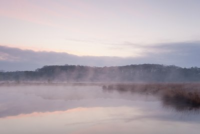 BUITEN BEELD Foto: 121538
