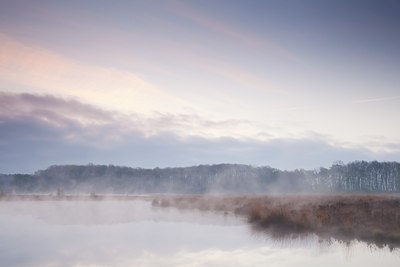 BUITEN BEELD Foto: 121540