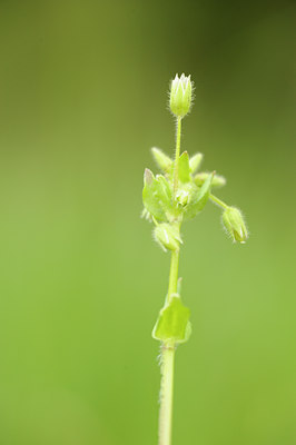 BUITEN BEELD Foto: 121558